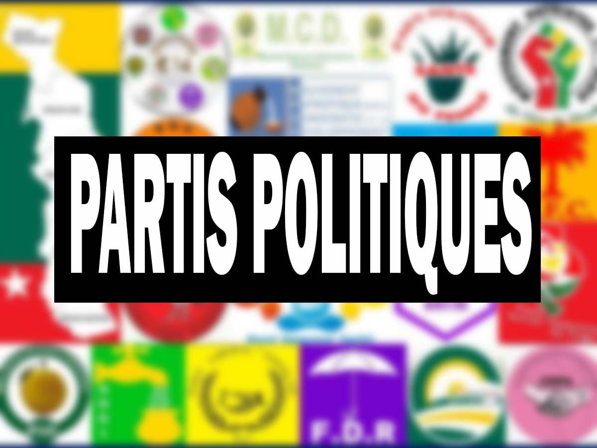 Rich results on Google's SERP when searching for 'Partis Politiques'