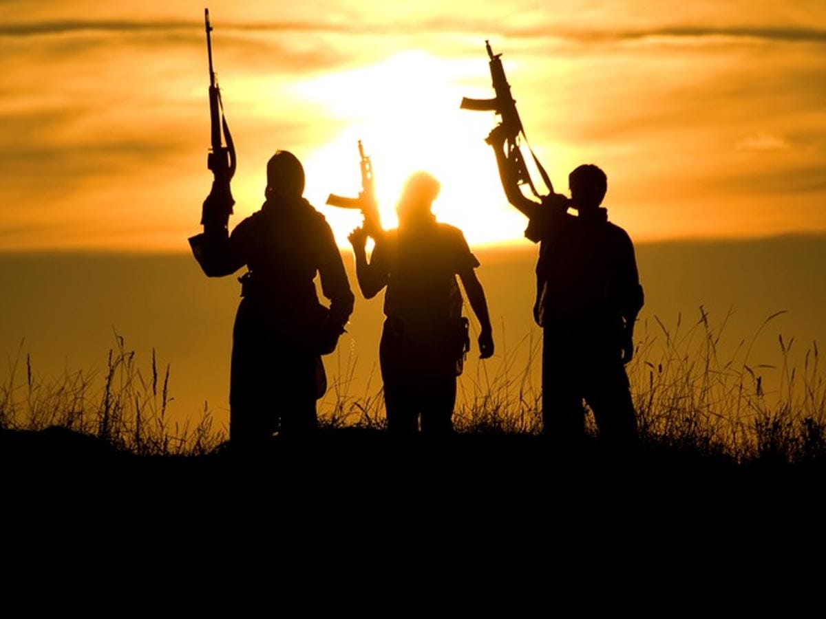 Rich results on Google's SERP when searching for 'Terrorisme'