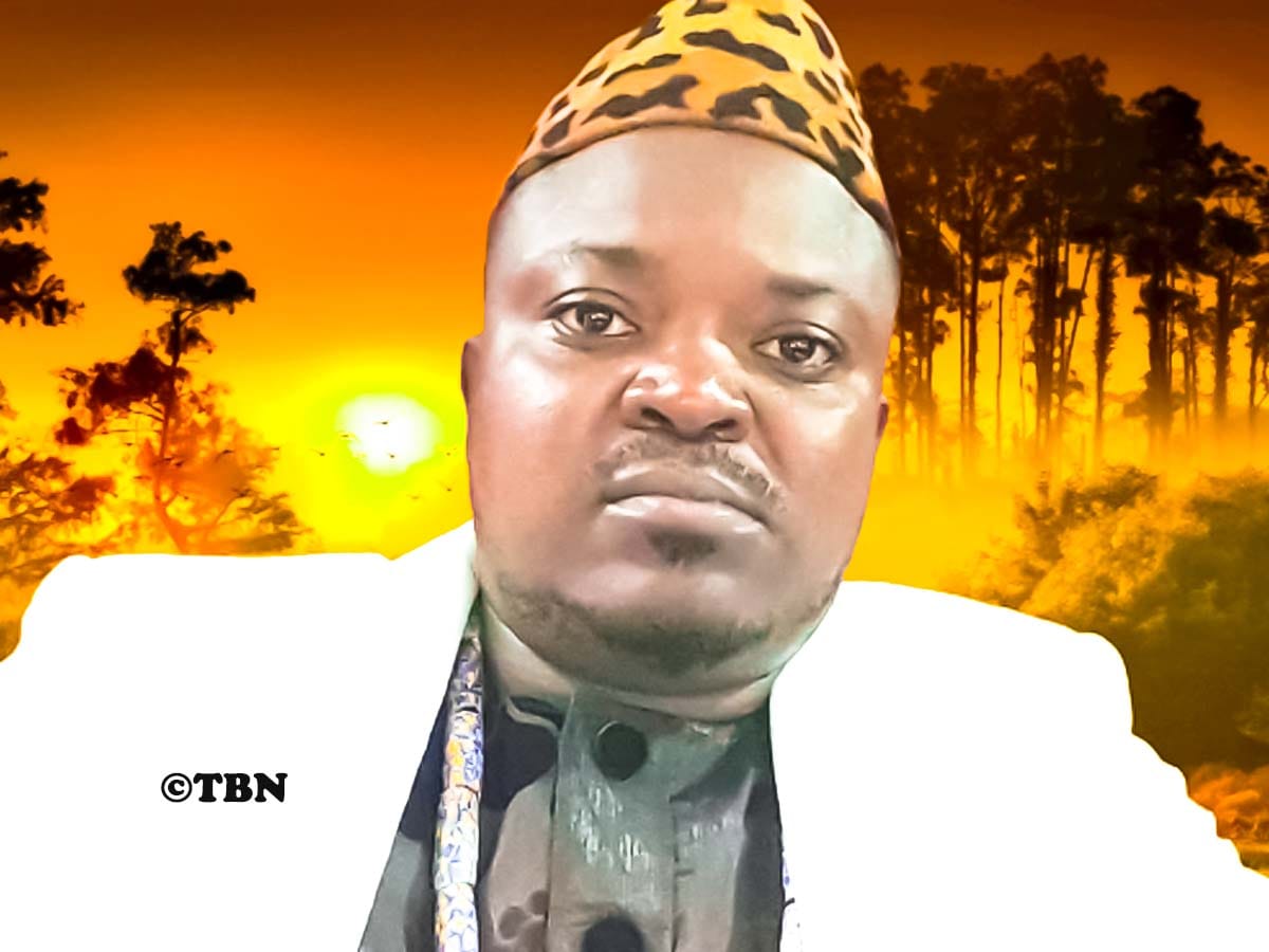 Rich results on Google's SERP when searching for 'Togbui Zewouto'