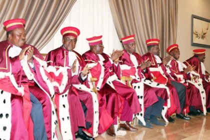 Nouvelle constitution