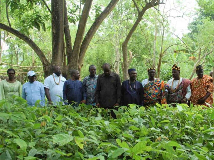 New Génération Café et Cacao
