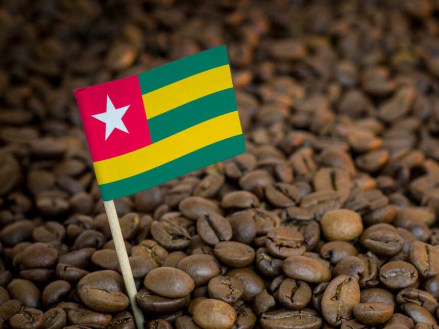 production de café