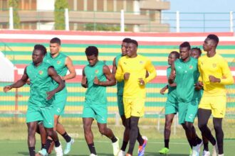 Eperviers du Togo