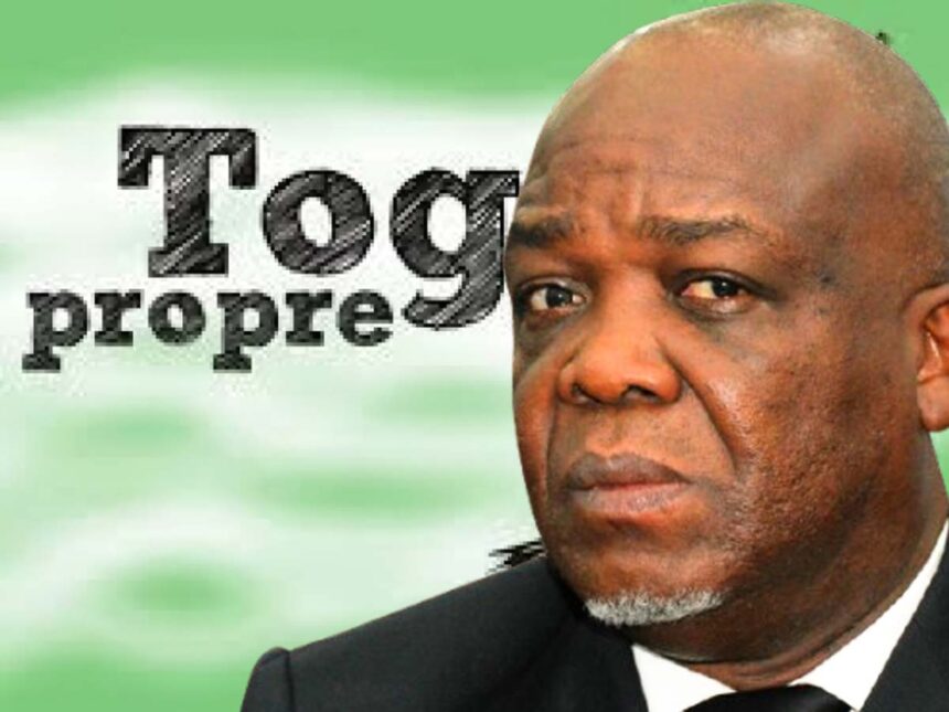 Togo Propre