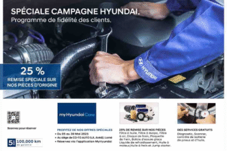 Hyundai Togo