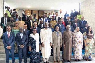 Alliance politique africaine