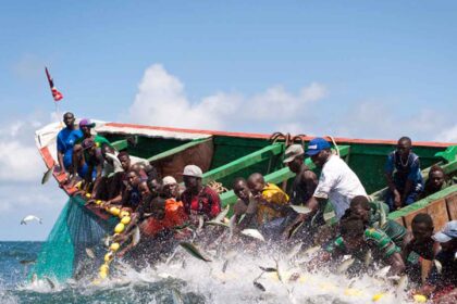 pêche maritime et lagunaire