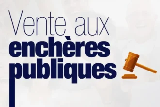 vente aux enchères publiques