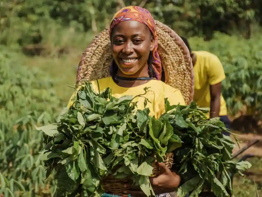 Agence de Transformation Agricole